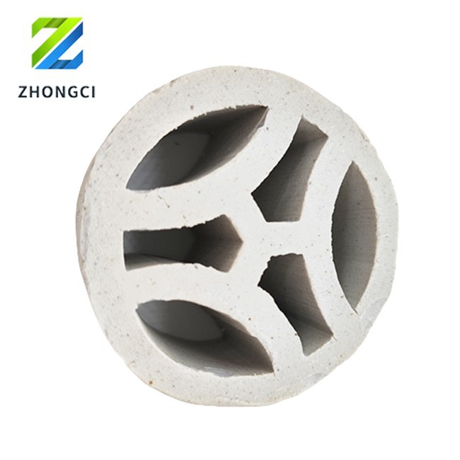 China Ceramic Tower Packing China Ceramic Tower Packing